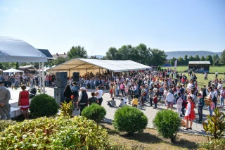  Hagyomány, krumpli, Putnok galéria kép 6 