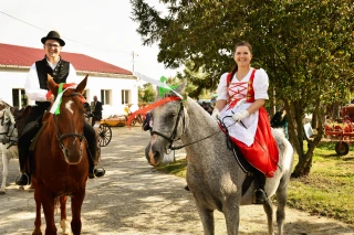  Szüreti fesztivál a 950 éves Tokajban galéria kép 2 