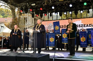  Szüreti fesztivál a 950 éves Tokajban galéria kép 4 
